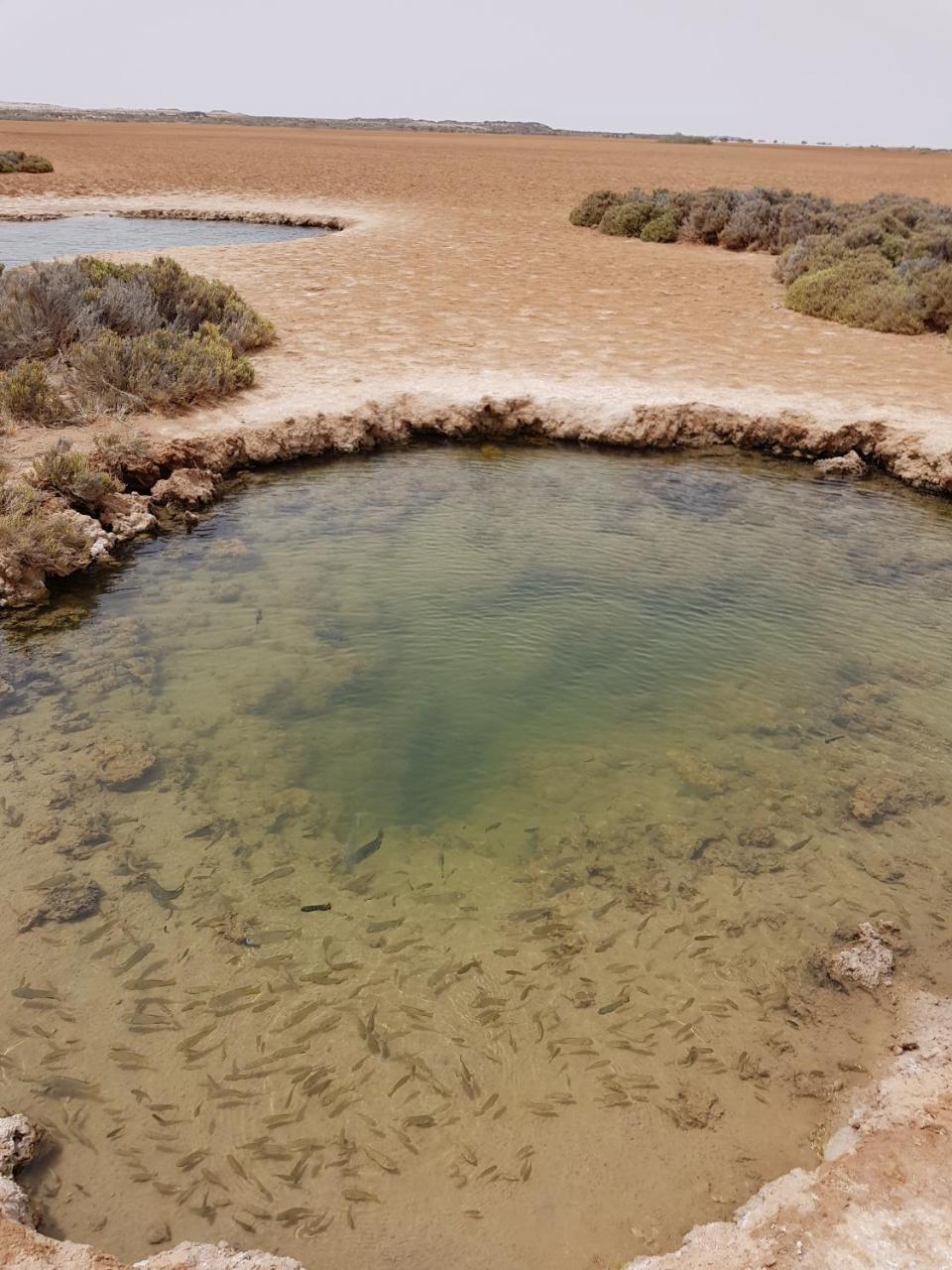 Imperial Playa Hotel Dakhla Dış mekan fotoğraf